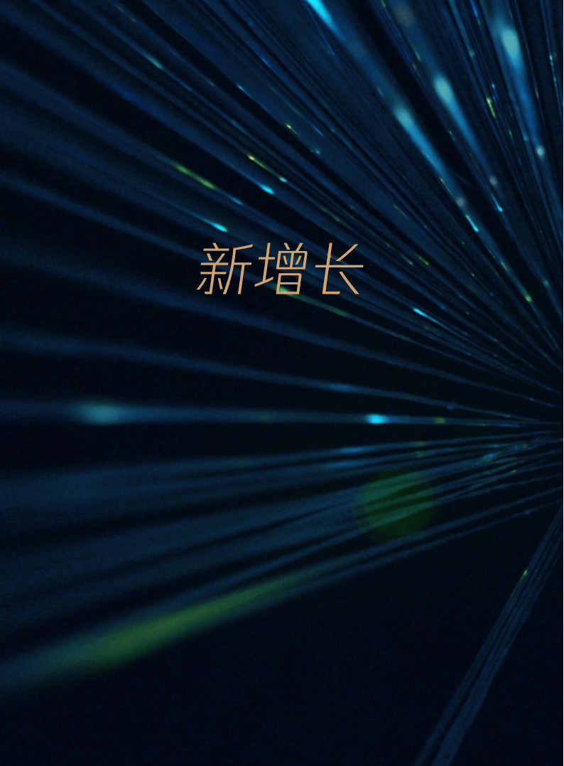 2024年天然气行业未来投资战略与发展趋势预测_人保车险   品牌优势——快速了解燃油汽车车险,人保财险 