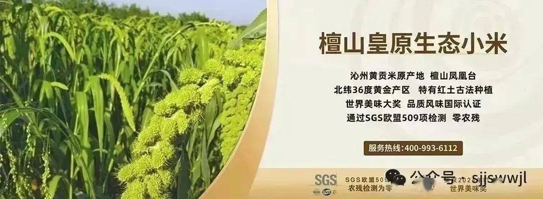 明冠新材N型电池封装技术有新突破 兄弟企业云南宇泽荣膺2024年云南企业百强第42位