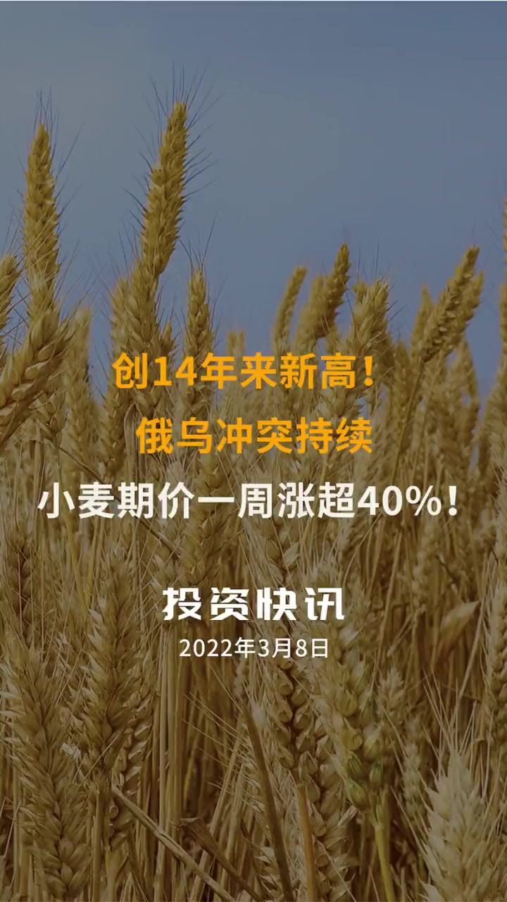 （2024年12月18日）今日小麦期货和美小麦价格行情查询
