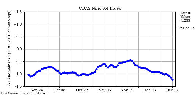 2024年12月18日今日松树皮价格最新行情走势