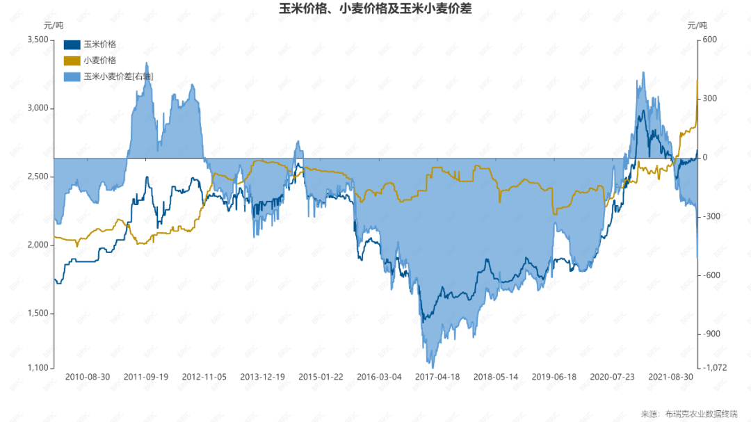 （2024年12月20日）今日小麦期货和美小麦价格行情查询