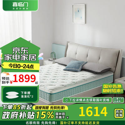 喜临门获得外观设计专利授权：“床垫（XLS发财垫-X-LTT-1）”