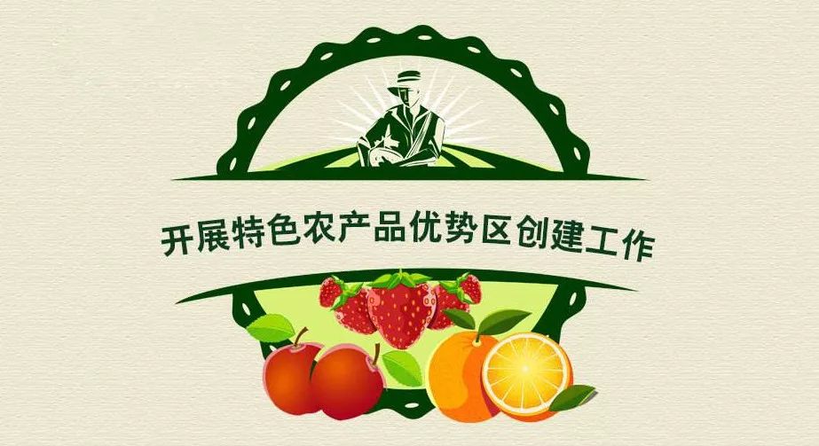 特色农产品深加工：区域品牌化带动农民增收_人保车险   品牌优势——快速了解燃油汽车车险,人保服务 