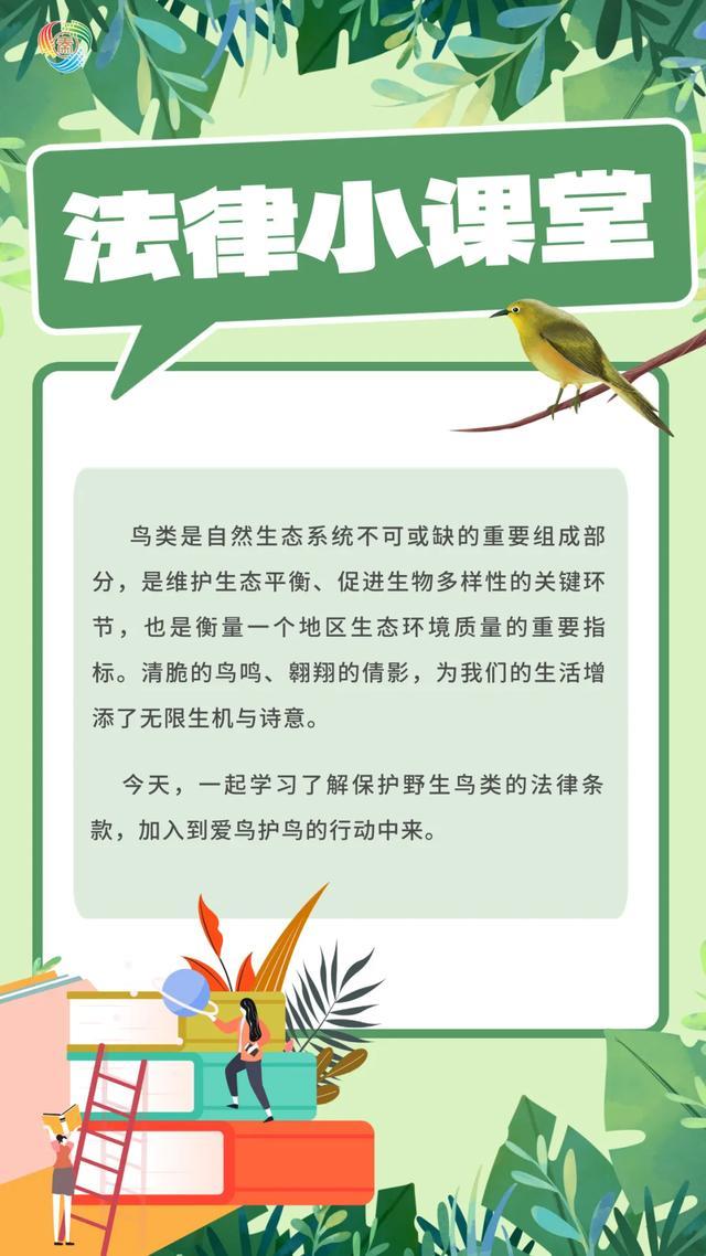 爱鸟护鸟，这些科技手段在助力