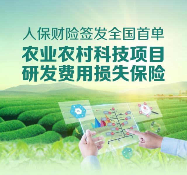 2025年手机设计行业：国产供应链强势崛起，重塑全球产业格局_人保服务,人保财险 