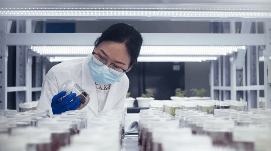 洛凯股份拟收购福州亿力45%股权 进一步扩大产业布局