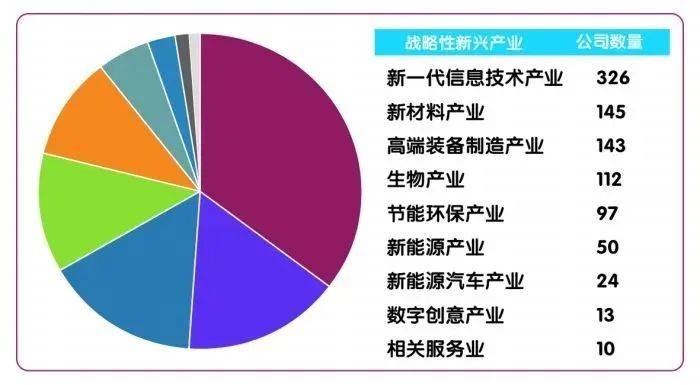 国新证券党委委员、副总经理李虎：服务战略性新兴产业，发挥资本市场工具箱的作用