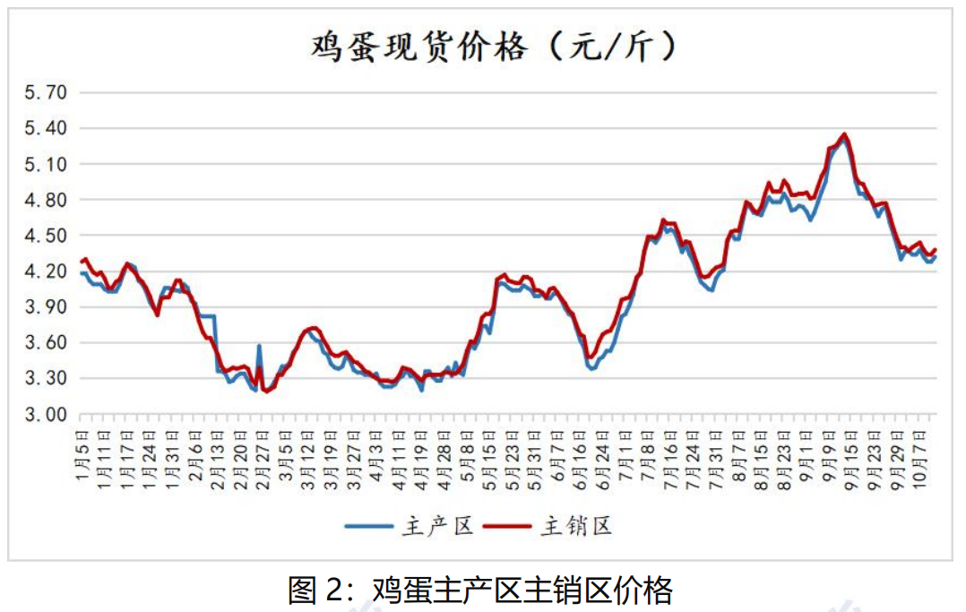 （2024年11月27日）今日鸡蛋期货价格行情最新价格查询