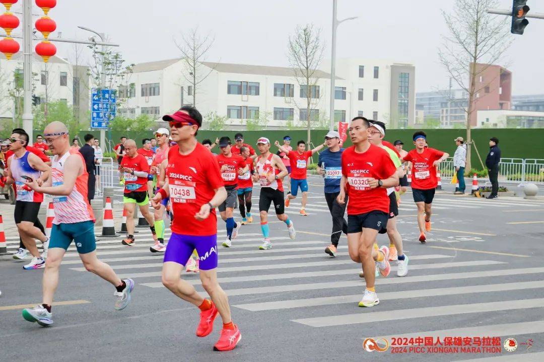 2024玉米种子行业深度调研及发展现状、未来前景分析_人保服务 ,拥有“如意行”驾乘险，出行更顺畅！