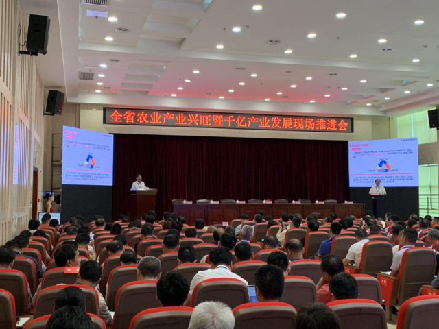 2025年计算机视觉行业现状与发展前景分析_保险有温度,人保服务 