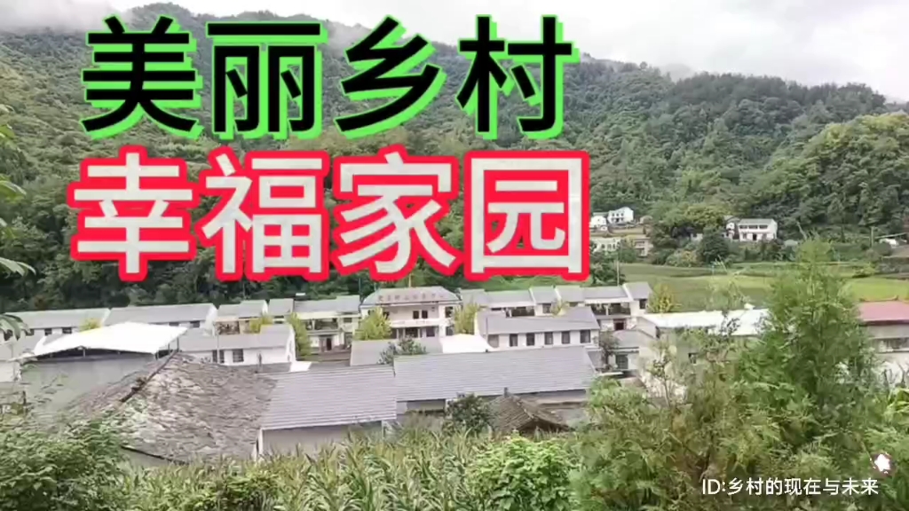 大山深处“幸福电”