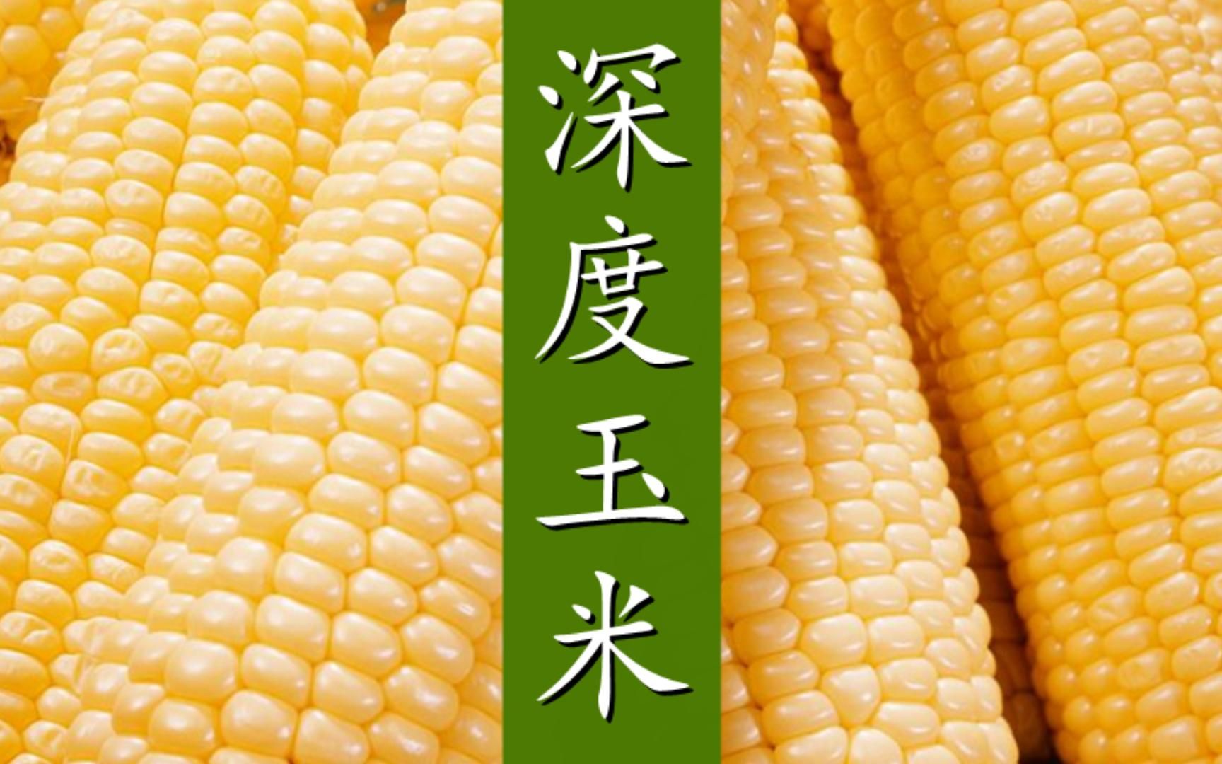 12月18日收盘玉米期货资金流出3280.86万元