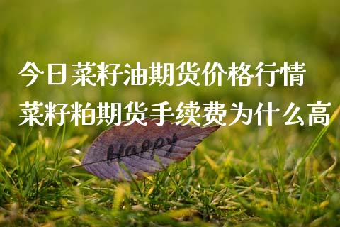 12月20日菜籽油期货持仓龙虎榜分析：空方呈退场态势