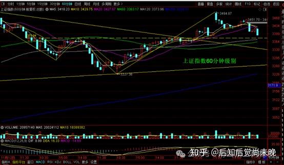 2024年12月24日最新松树皮价格行情走势查询
