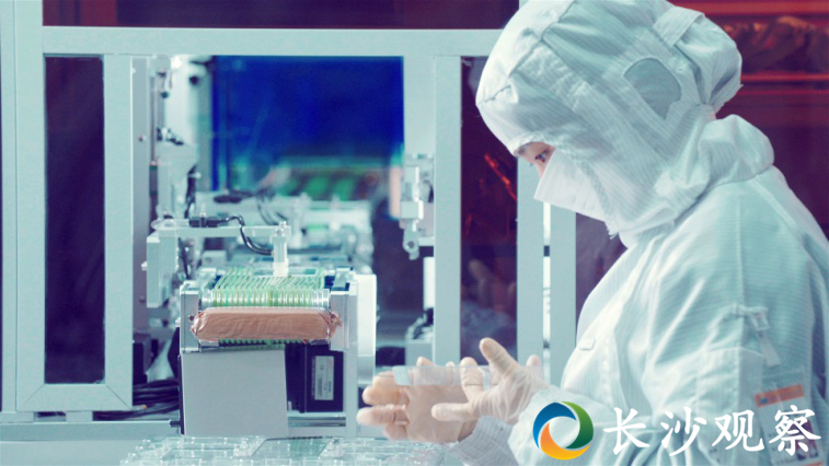 *ST有树在长沙新设两家科技公司