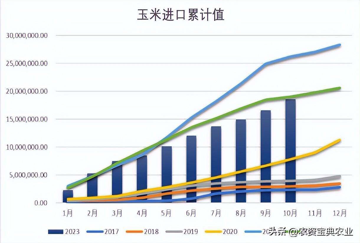 （2025年1月6日）今日玉米期货和美玉米最新价格查询