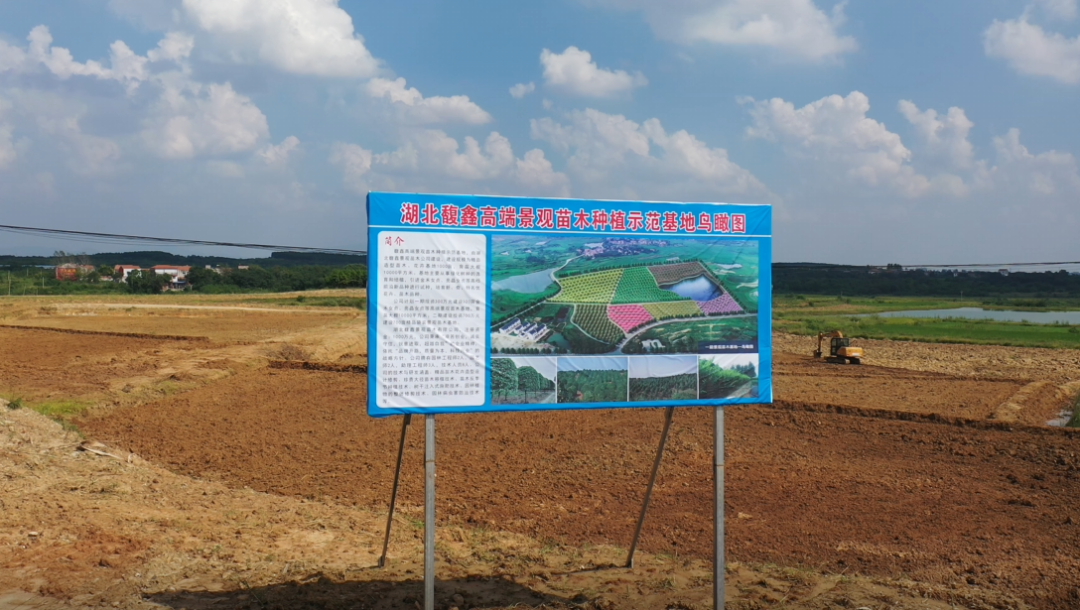 乡村新貌丨乡村文体活动出圈 让乡村振兴有了新路径
