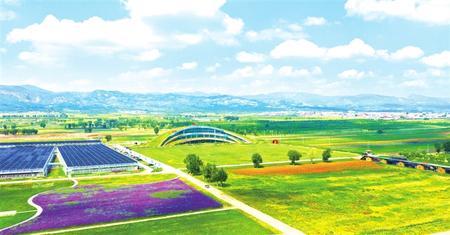 蒙草生态：公司成功实施了西安奥体中心等29块国内知名球场