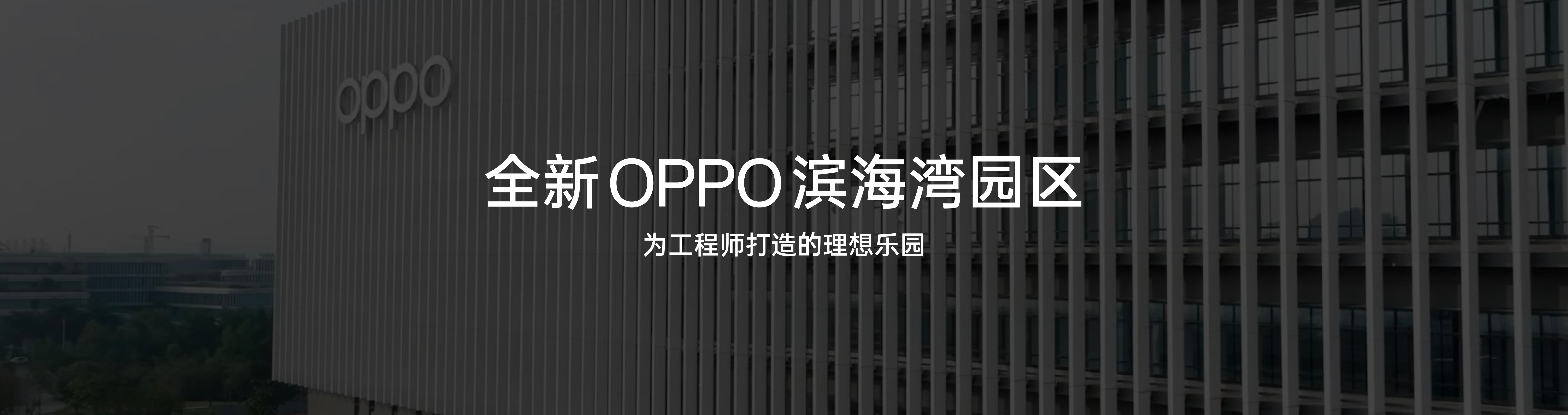 OPPO失速，产品线“左右互搏”，尚未站稳高端化市场