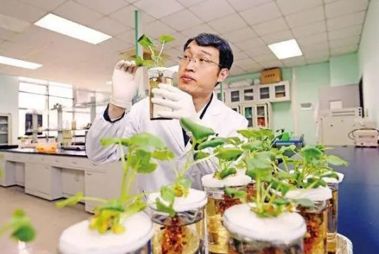 德生科技：研发完成社保卡加载数字人民币技术