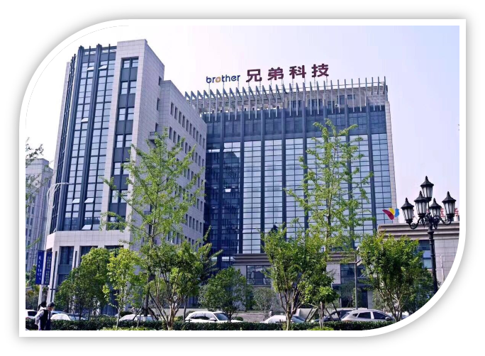 兄弟科技：7月15日高管钱志达减持股份合计190万股