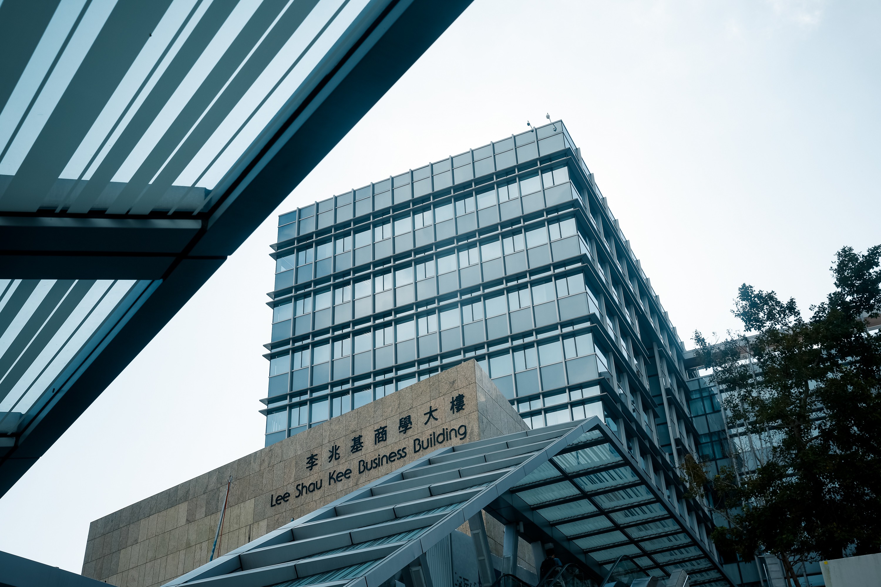 中英科技：截至2025年7月20日股东总数为13,083户