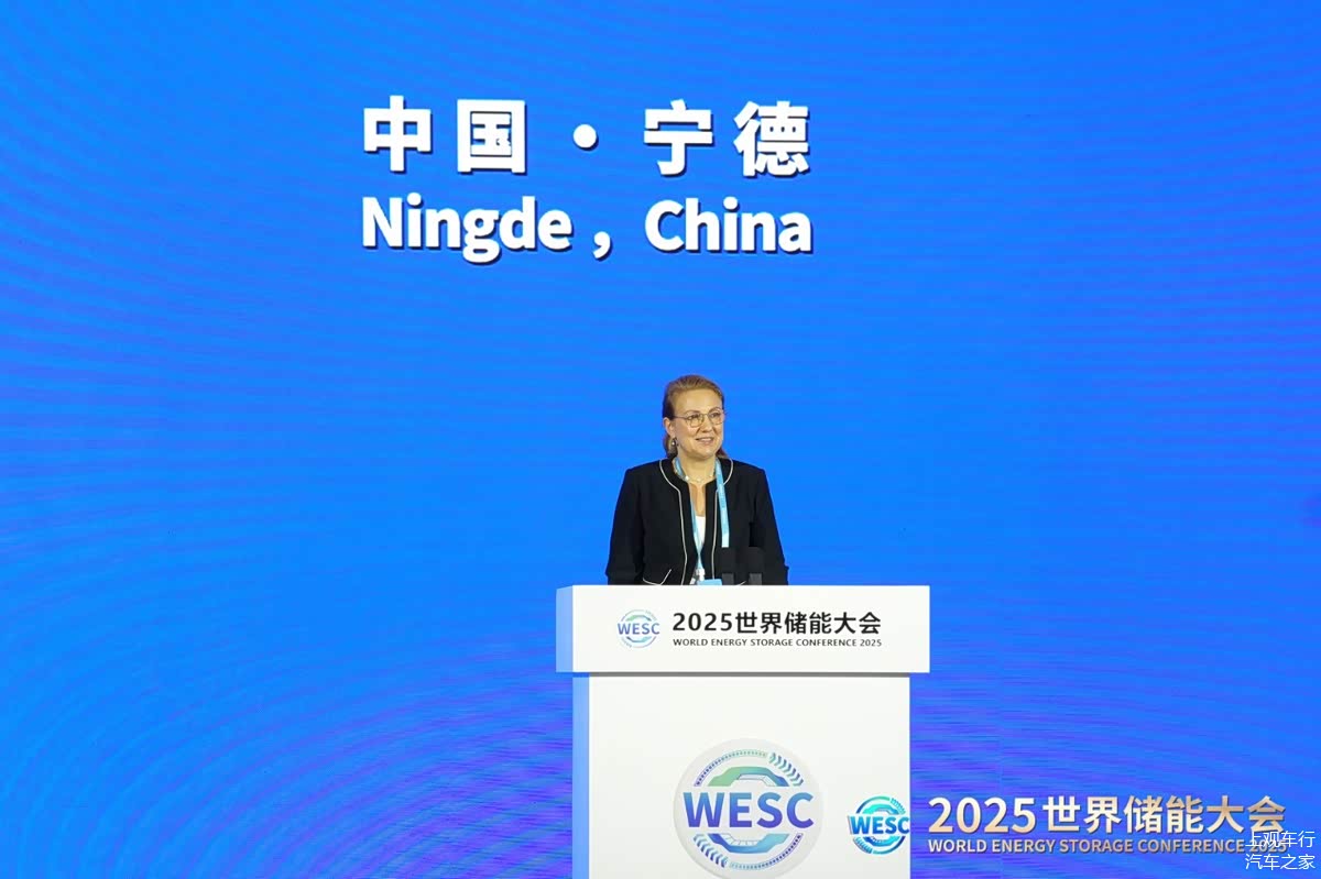 宁德时代公布国际专利申请：“储能装置、储能系统及充电网络”