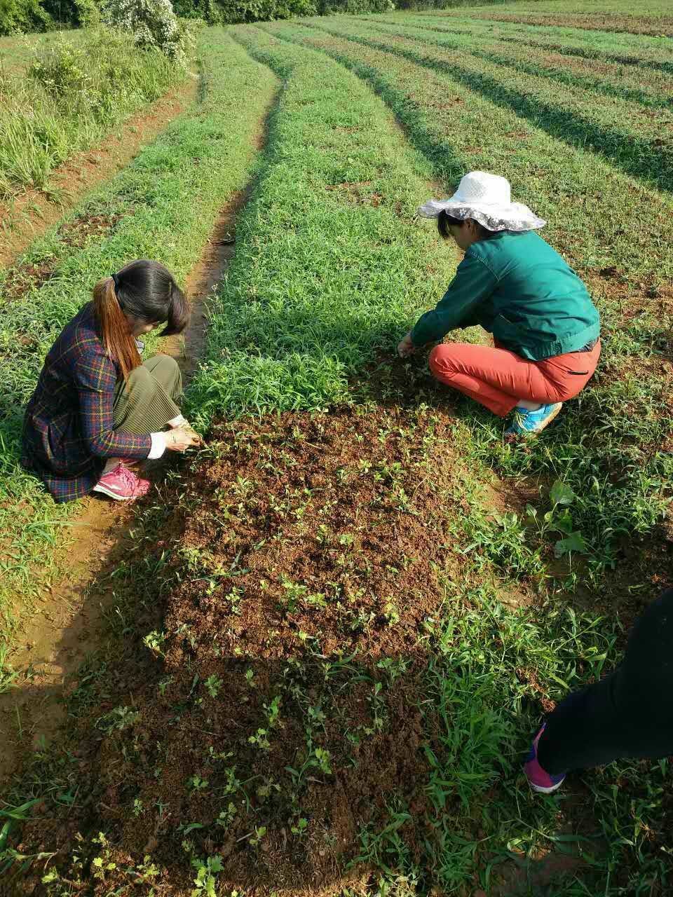 汇绿生态等成立绿色环境生态科技公司