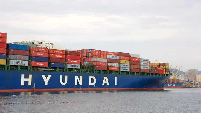 数字认证：一季度亏损1051.41万元