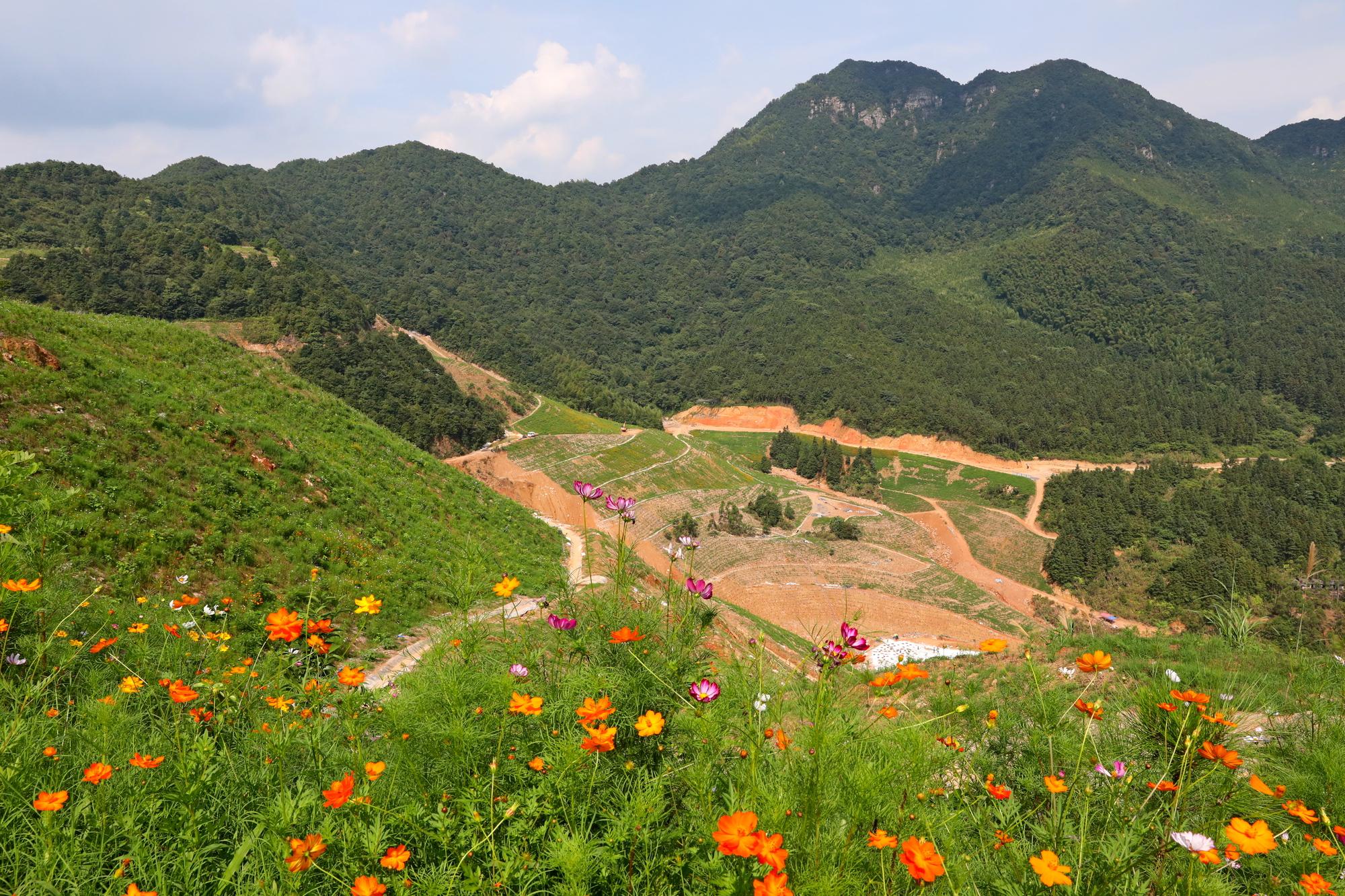 自然资源部：全国已建成省级以上绿色矿山5500余家