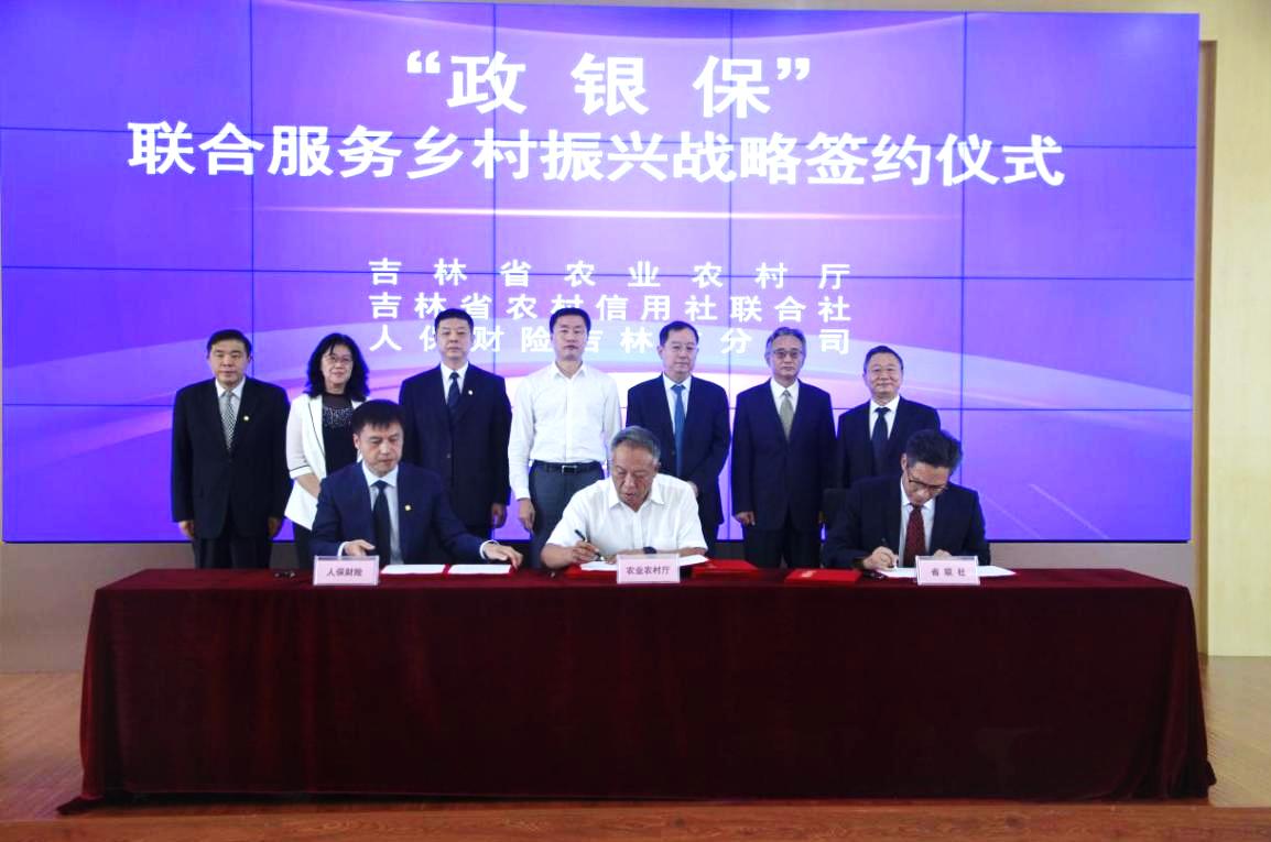2026草莓行业市场供需全景调研及未来趋势分析_人保财险政银保 ,人保车险