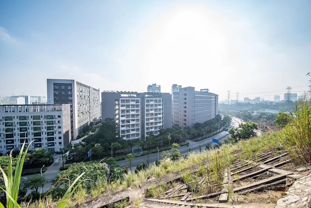 康耐特光学(02276.HK)连续8日回购，累计斥资1.60亿港元