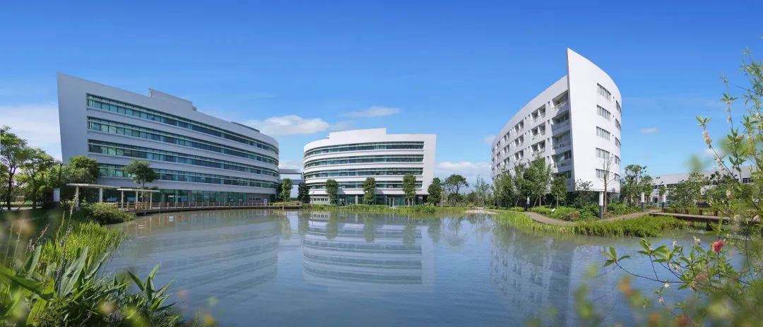【企业动态】三棵树新增1件判决结果，涉及追偿权纠纷
