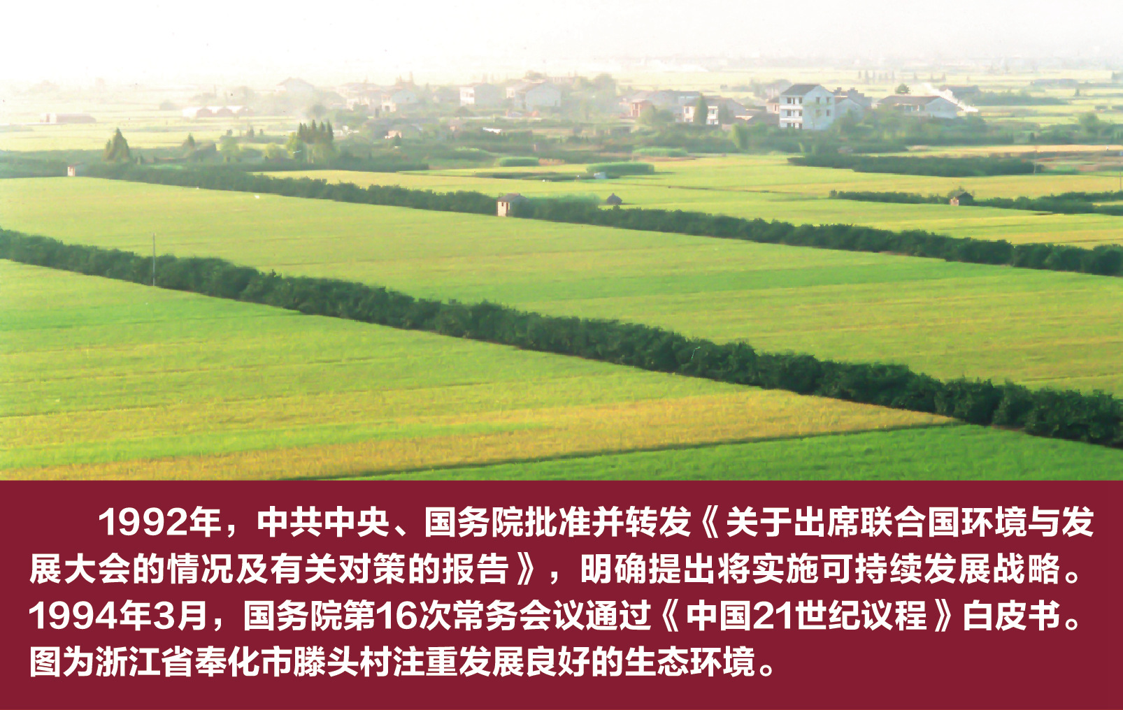 人保财险 ,人保护你周全_2026年全球水产饲料行业:在成本风暴与绿色变革中重塑格局