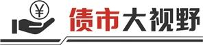 年内发行规模超1200亿 熊猫债市场亮点纷呈