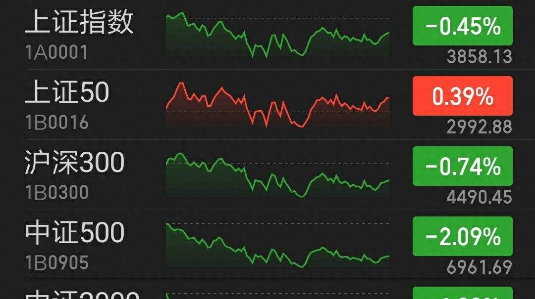 国债期货开盘表现分化