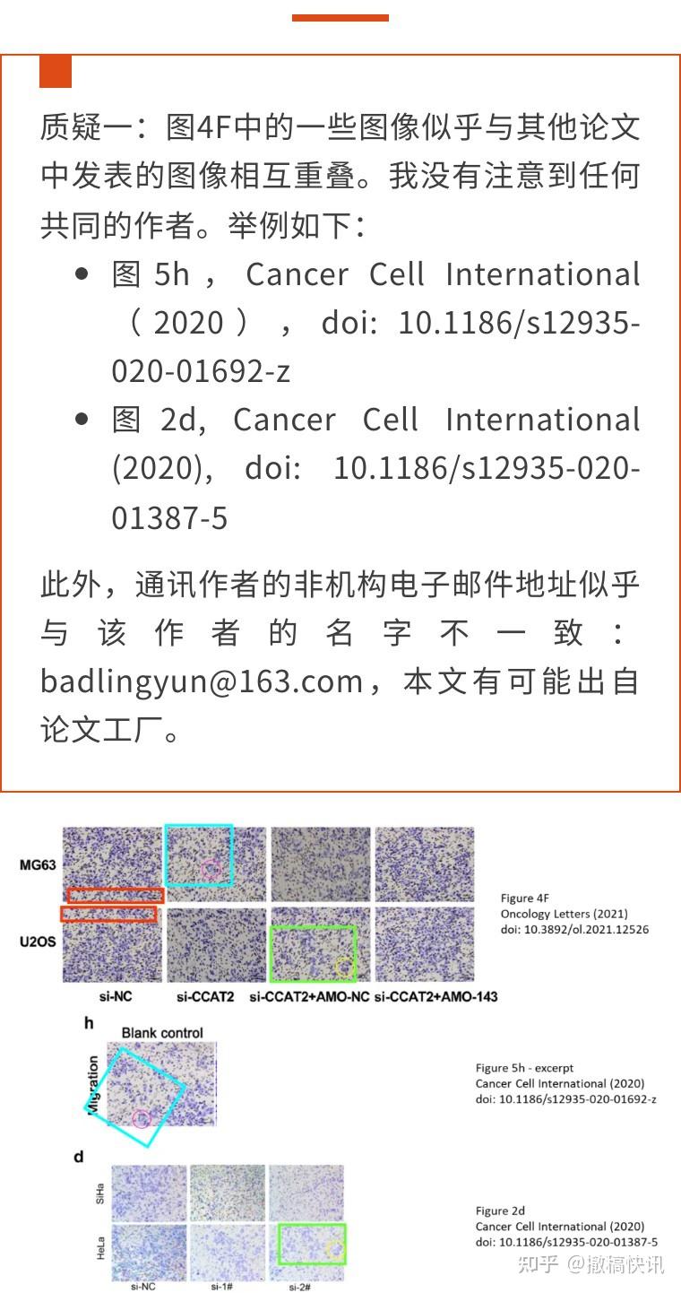 全球顶级学术期刊《自然》接受每经独家采访:正对近期被质疑论文启动审慎调查,如发现问题会采取适当行动
