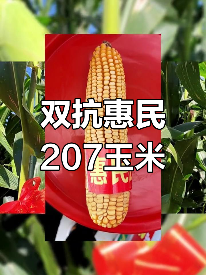贵州资本公司成功发行20亿元双品种公司债