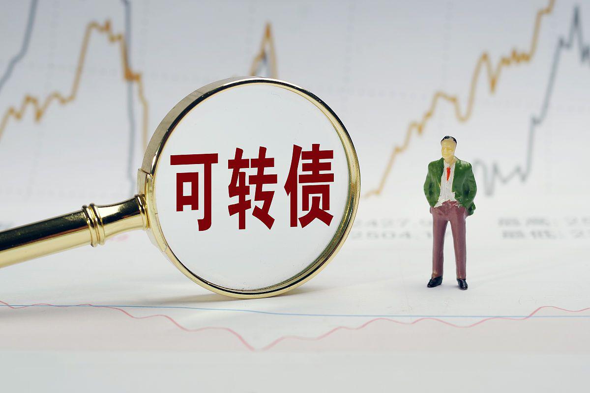 中鼎股份：公司可转债相关工作正有序推进