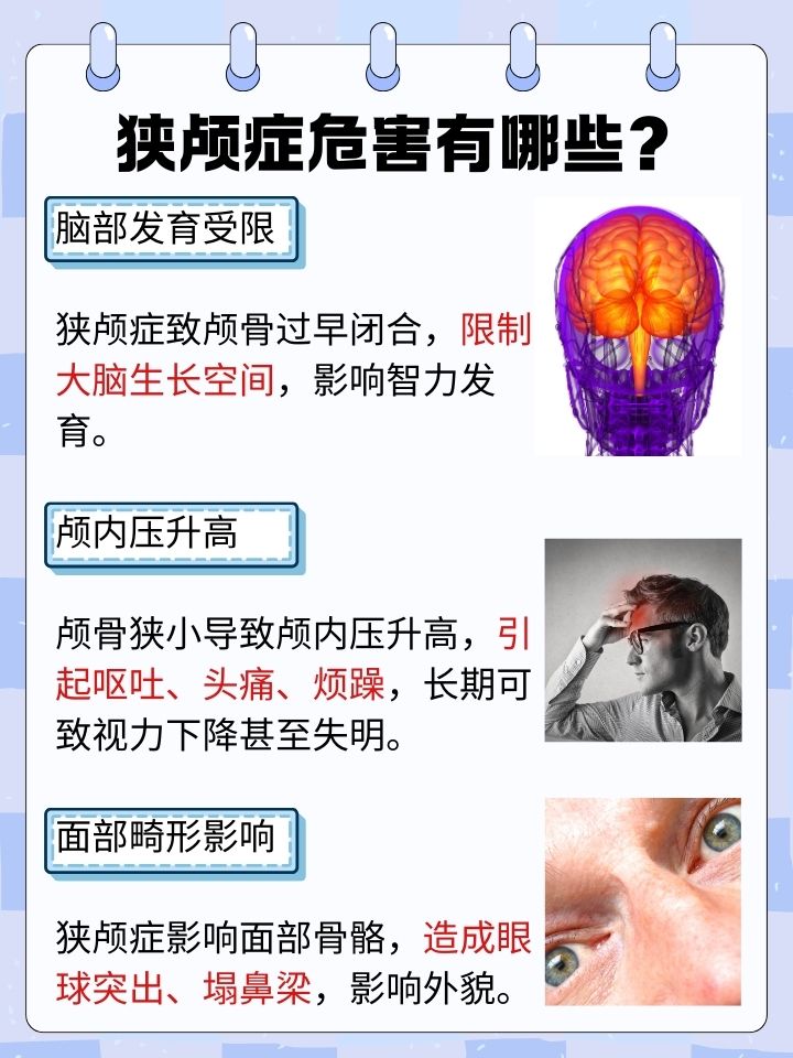 “前额叶受损”,到底是啥?