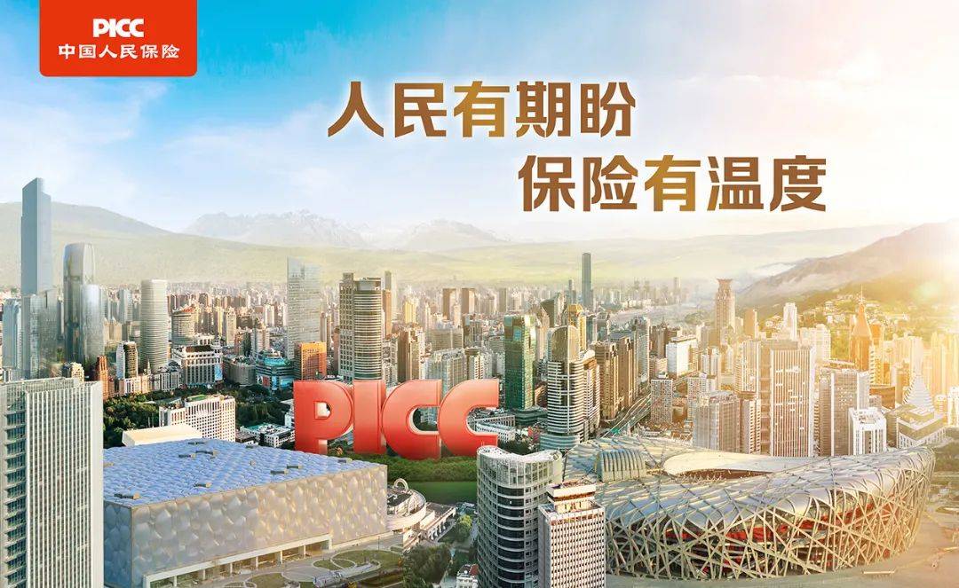 2026-2030年国内大豆蛋白行业发展趋势及发展策略研究分析_保险有温度,人保车险