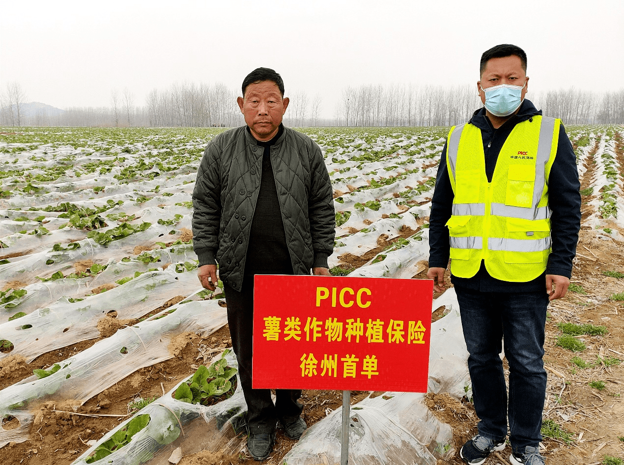 保险有温度,人保财险政银保 _智能厨电行业发展分析:从"单品智能"迈向"场景智能"的关键转型期